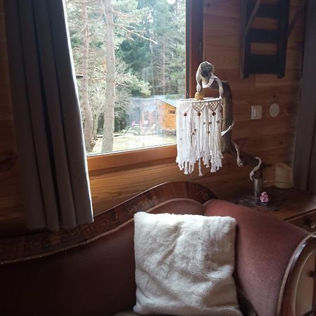 Chalet Cricri avec mezzanine Champclause Extérieur photo